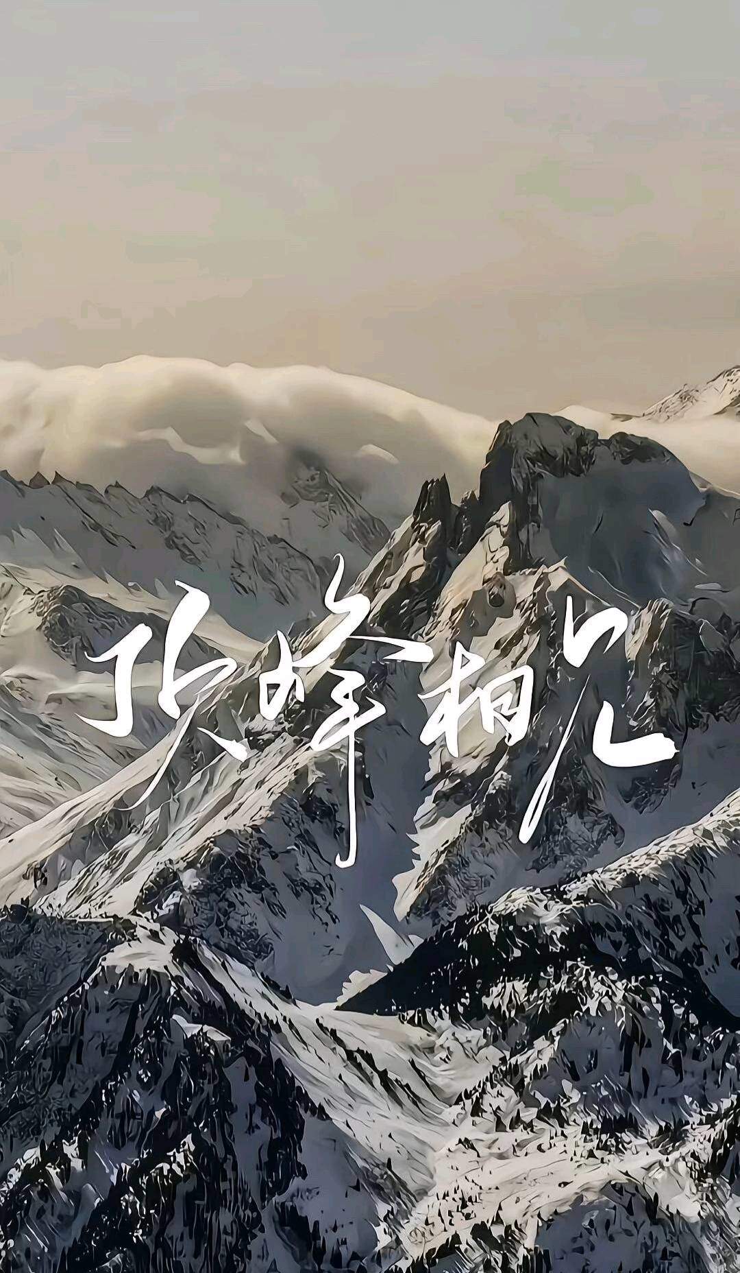 杨占武找合伙人