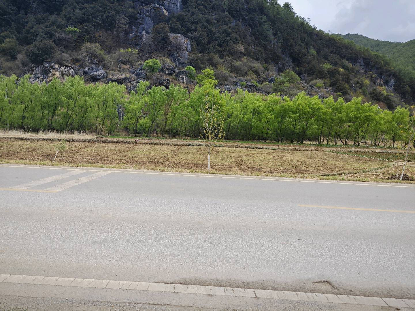 陈先生场地活动