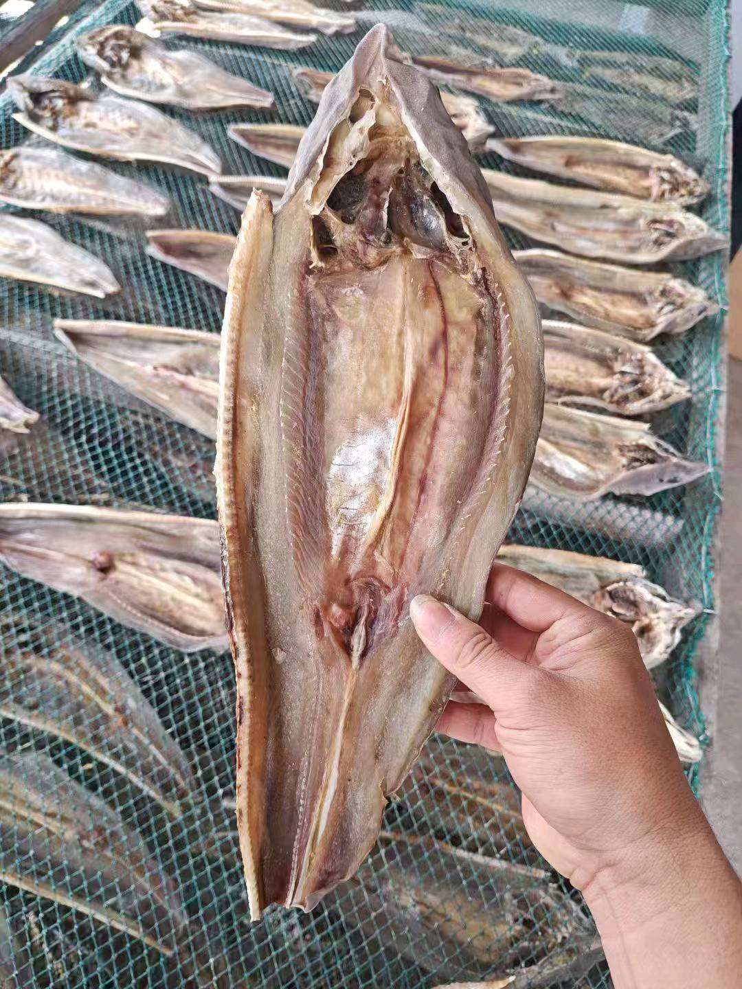 郑家驸品牌货源提供各种海产品干货，桂皮等干货