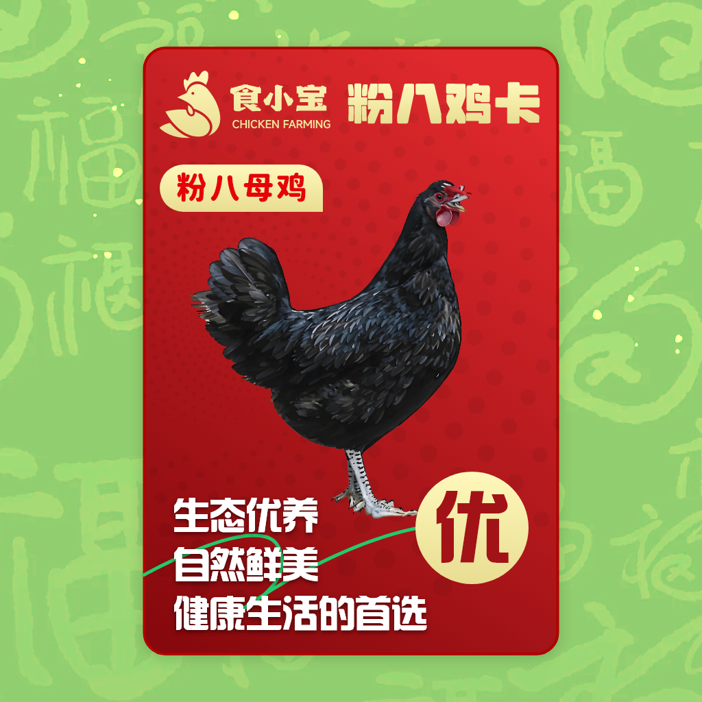 马先生找合伙人提供生态散养母鸡，散养土鸡蛋，寻找网推，地推团队合作