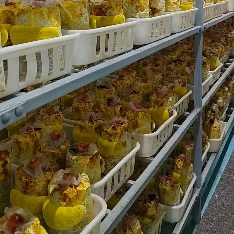 张女士找合伙人