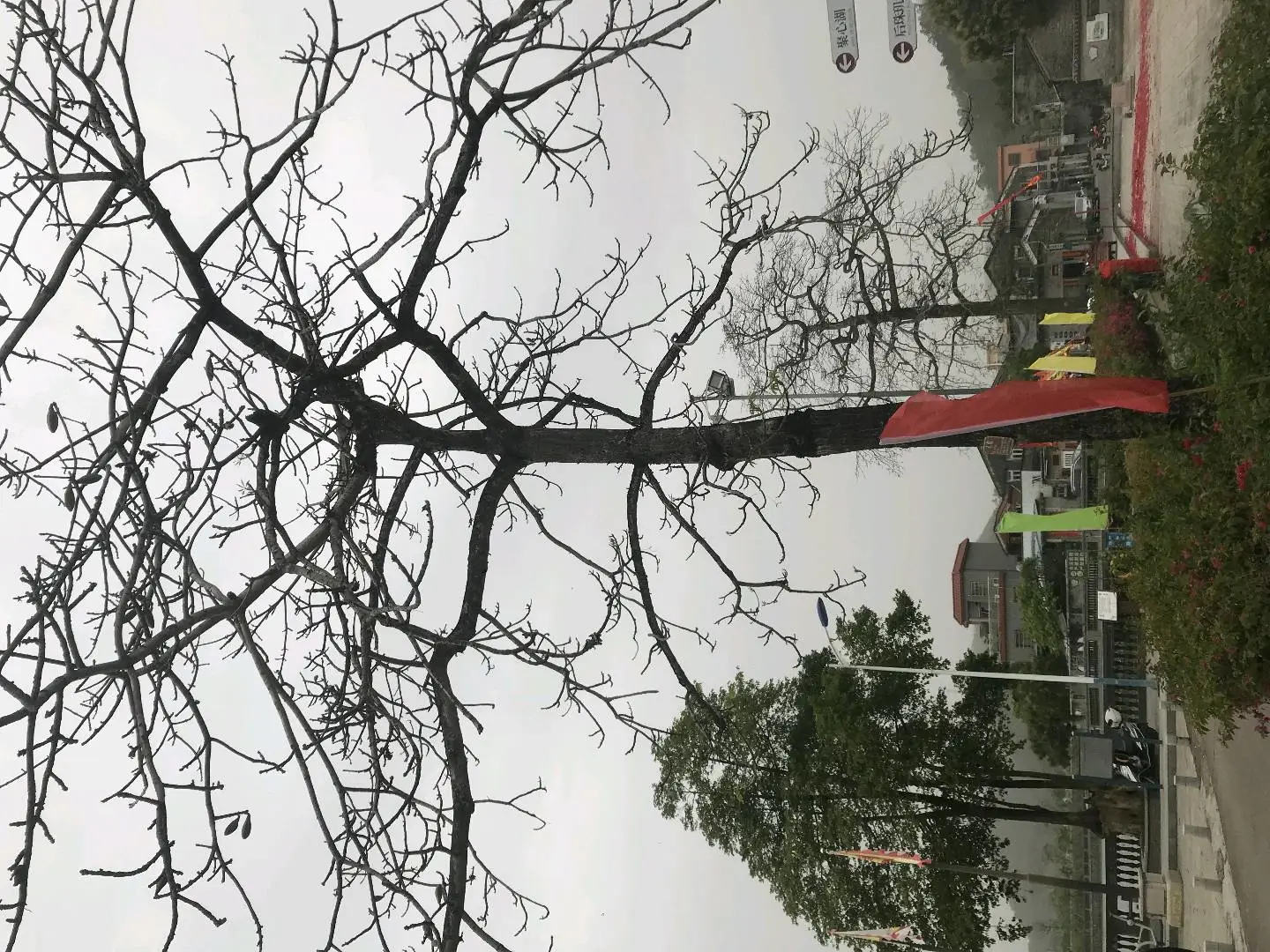 廖先生