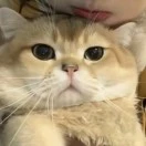 刘先生