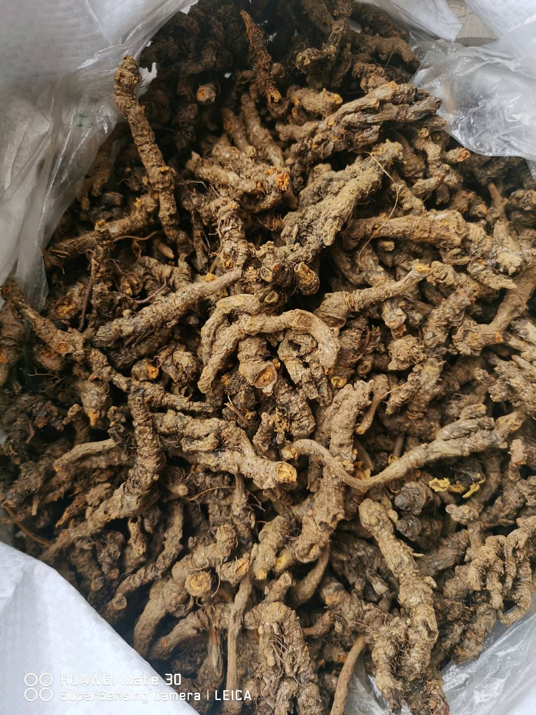 刘林东销货渠道中国重庆市石柱县黄水黄莲
