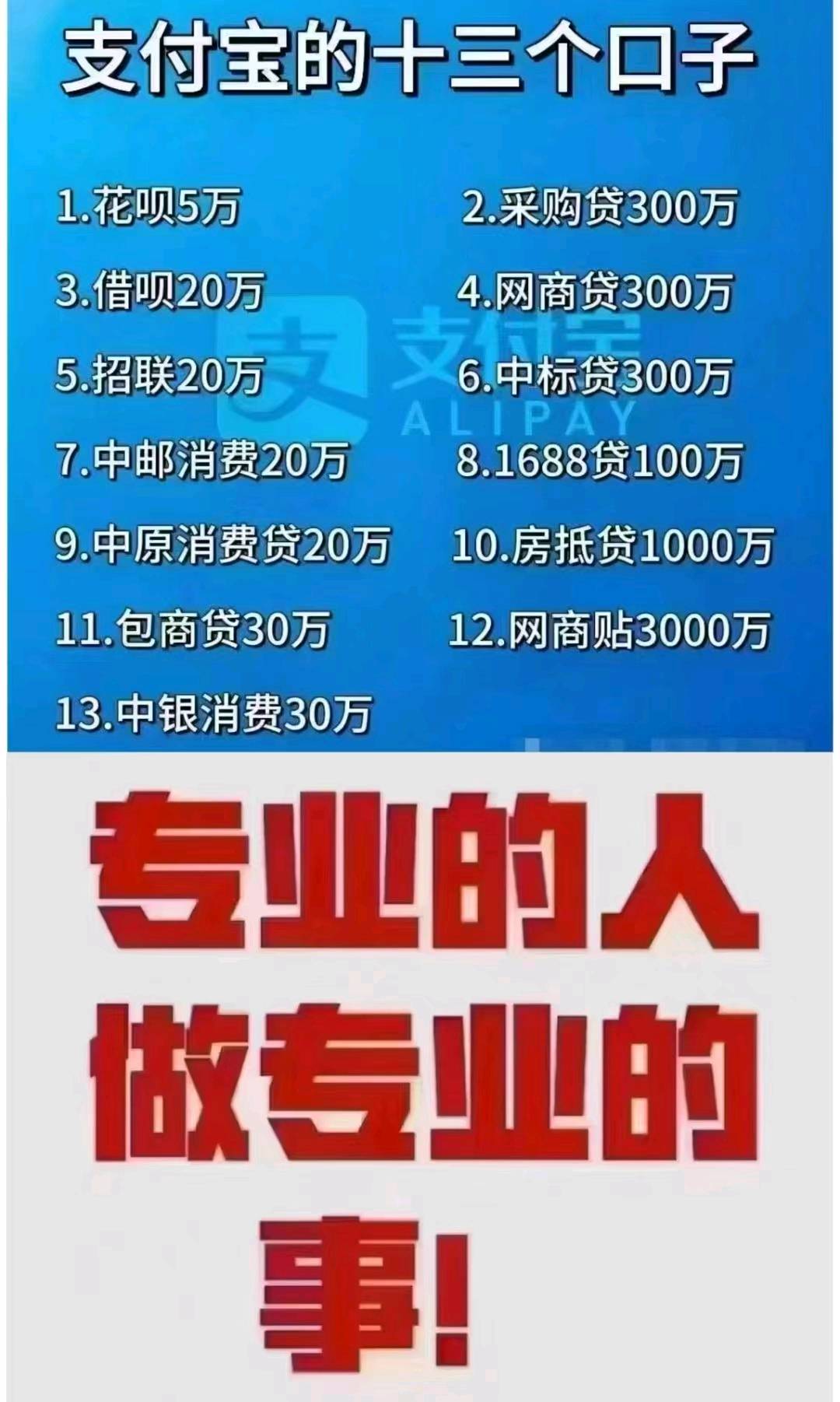 刘女士找合伙人支付宝零门 槛，打造百万支付宝备用金，大部分市场空白，招个人，团队