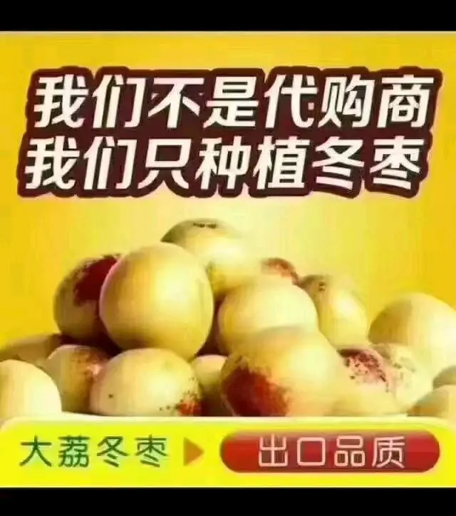 李佳鹏品牌货源