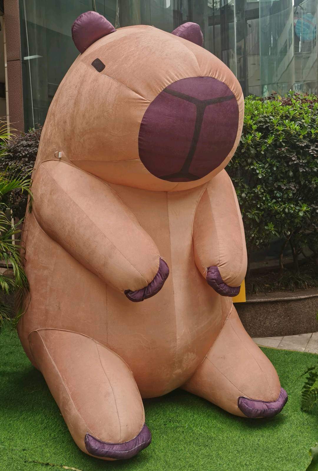 u客直谈实名认证谈女士