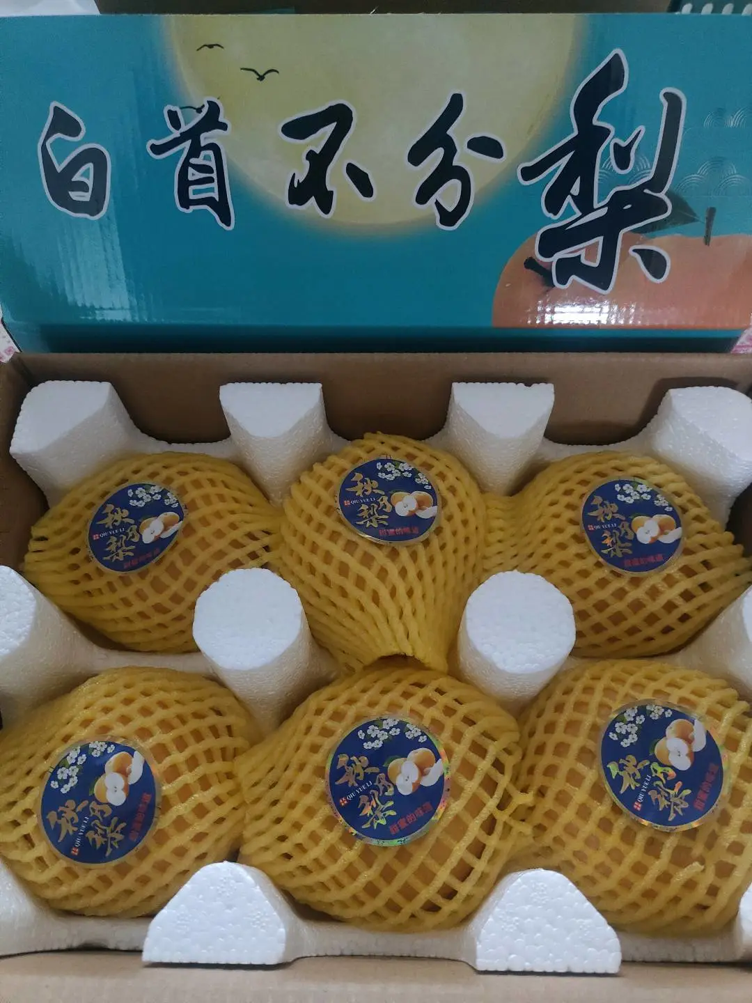 鞠先生正宗莱阳莱西秋月梨