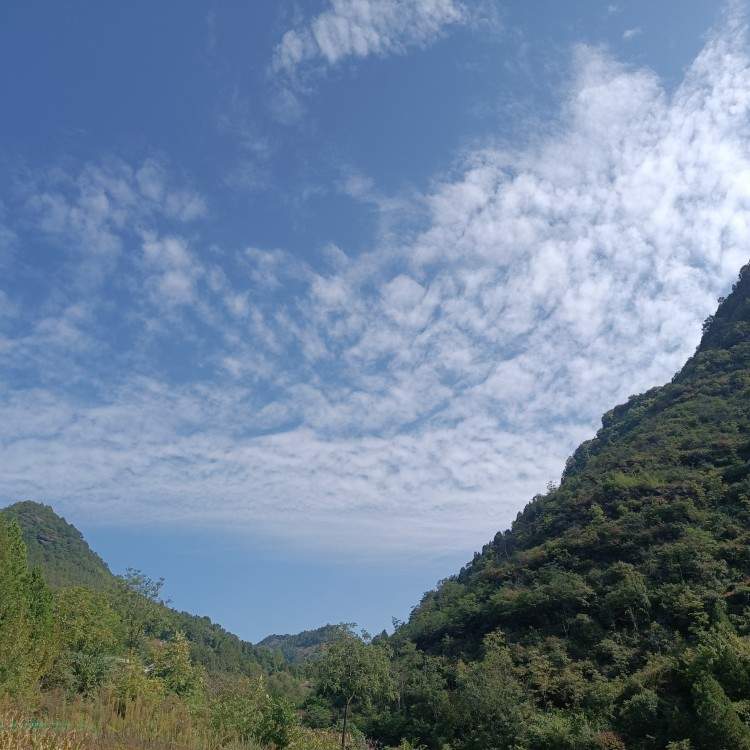 u客直谈实名认证谢娟