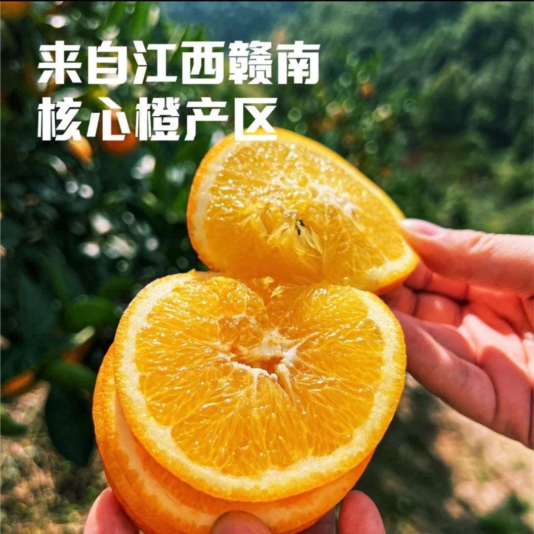 赖敏品牌货源