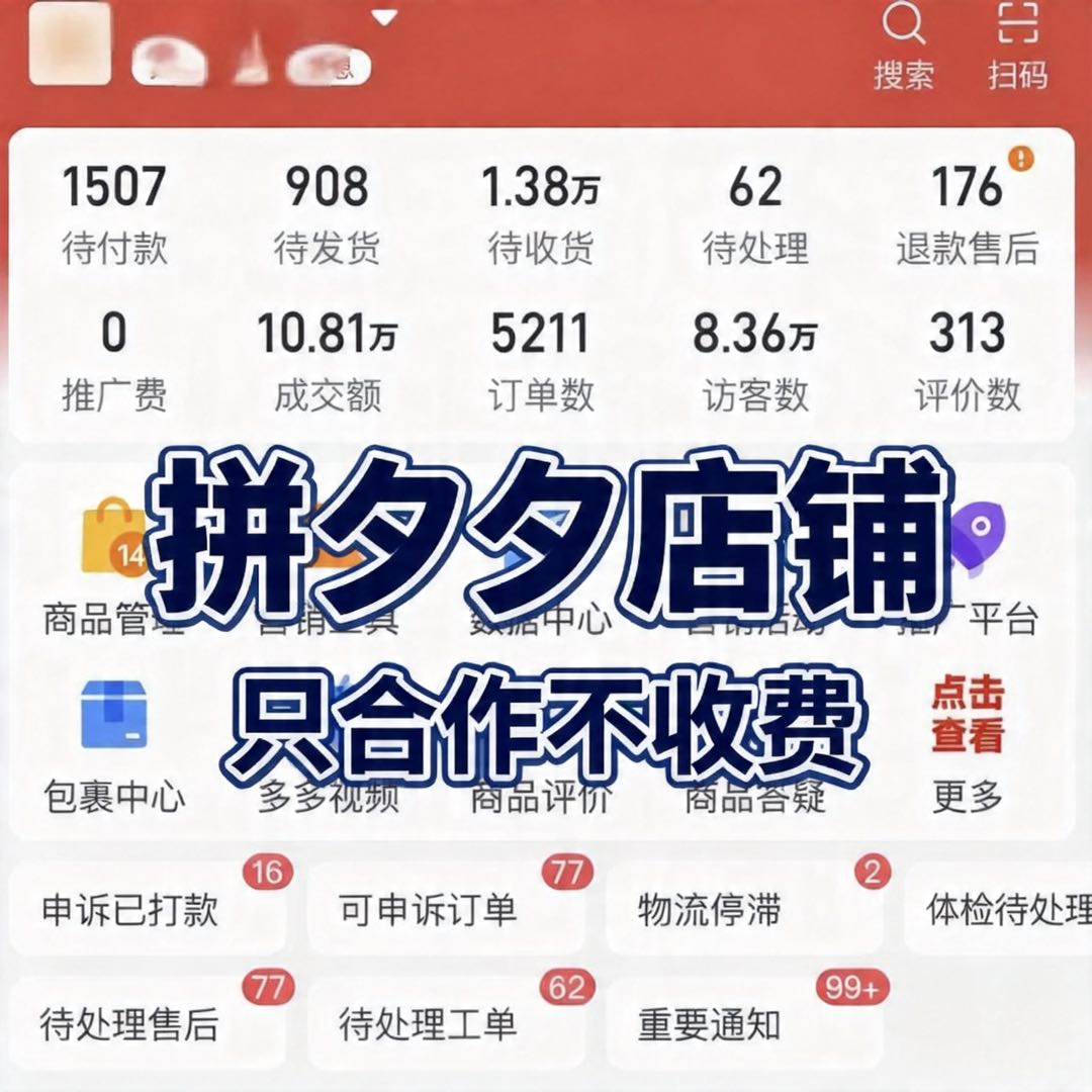沈浩庭找合伙人拼多多合伙人，只合作不收费全程不收一毛钱