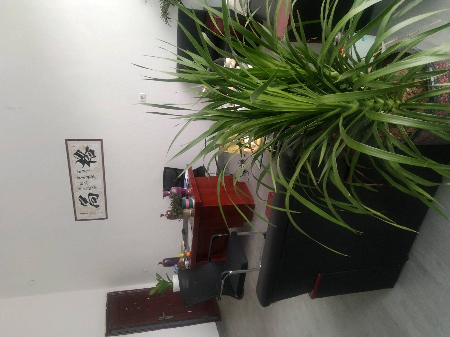 江小卫快鸟驿站升级系统,空白市场,招本地市场负责人