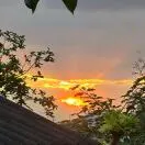 陈善东