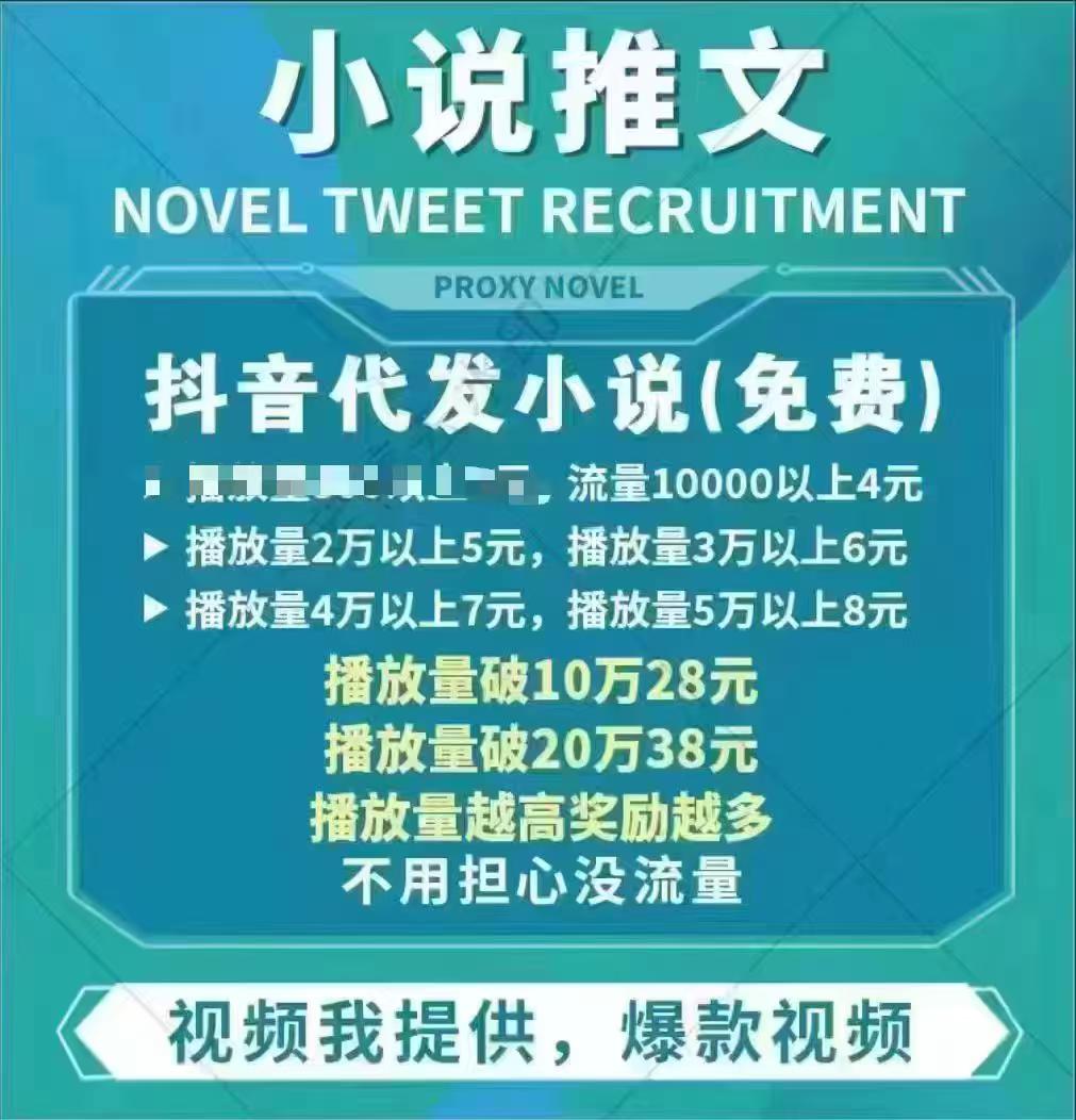 龙颂宇其他供需DY小说视频代发合作，多账号运营收益叠加，按播放量次日结算