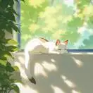 u客直谈姚先生