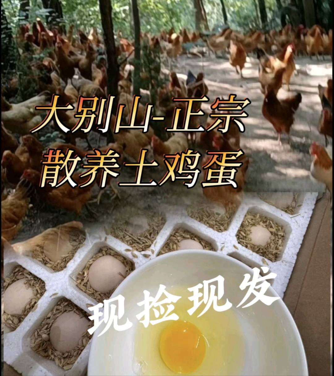 石先生找合伙人