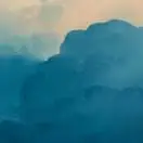 刘雪秋