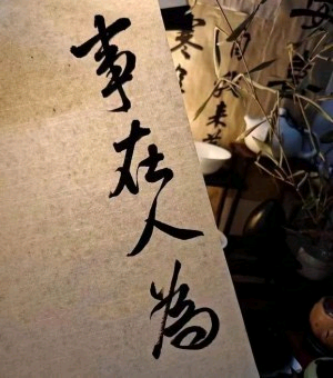 从先生独享平台一款全新游戏红利项目，收入稳定