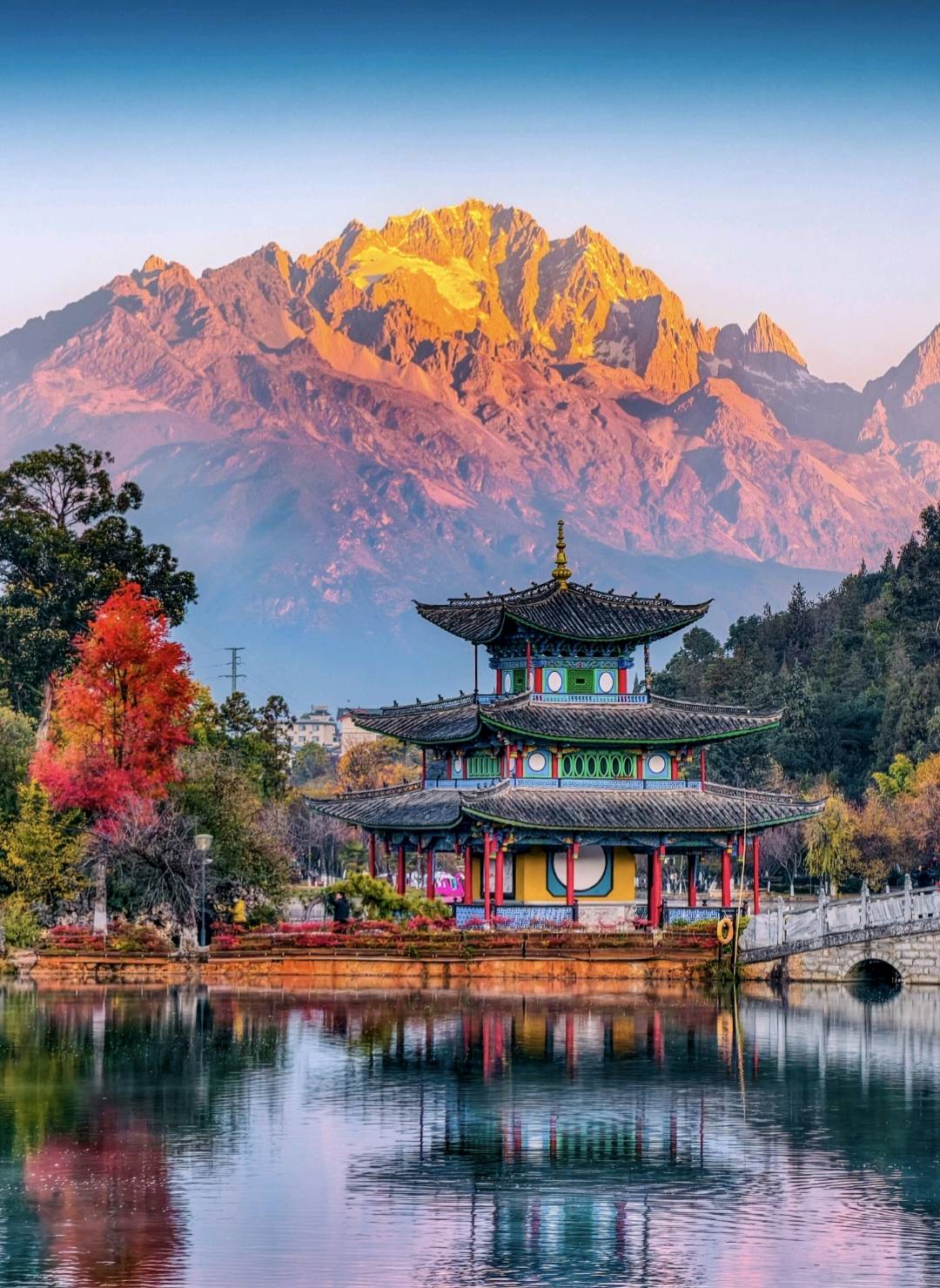 张慧旅游体验官名额