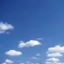 王正通