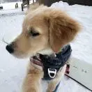 u客直谈实名认证张先生