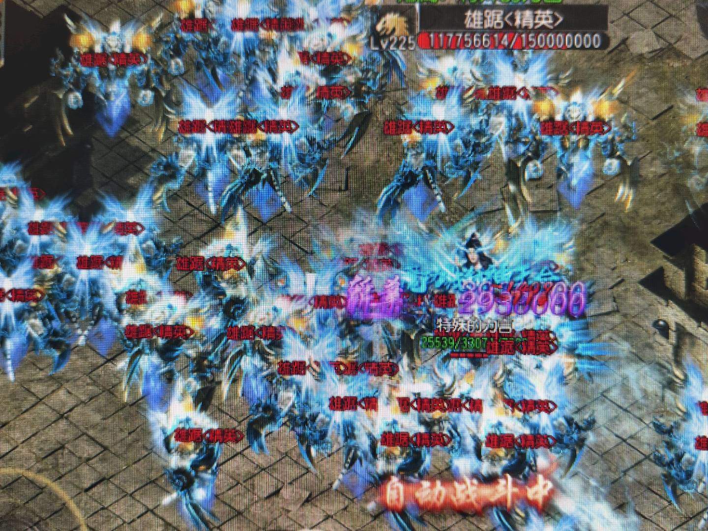 沈女士找合伙人