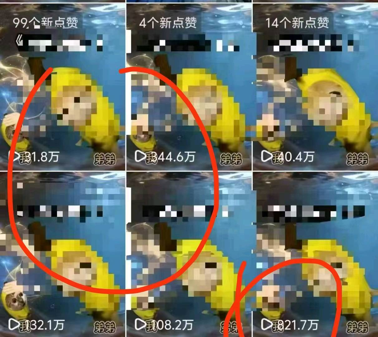 王桉棋找合伙人