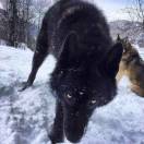 u客直谈实名认证李先生