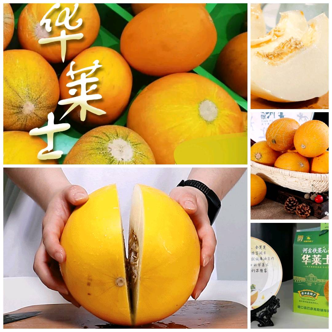 周夏威品牌货源
