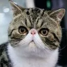 u客直谈实名认证赵俊琪