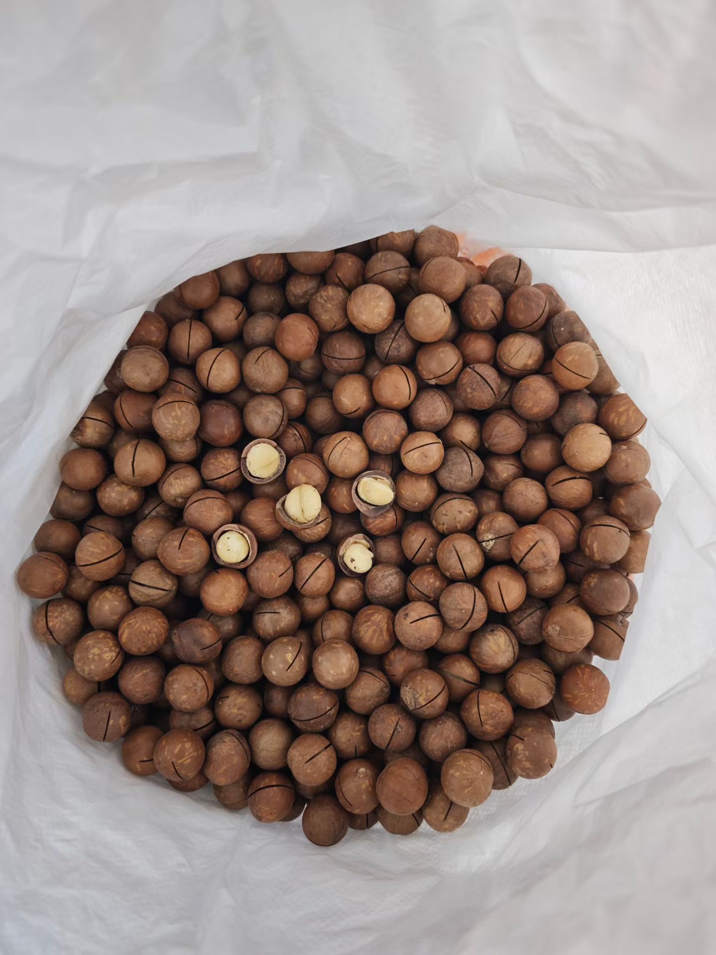 侯嘉伟品牌货源云南产地夏威夷果直供，坚果旺季到了一斤10元+的利润