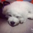 孙苏南