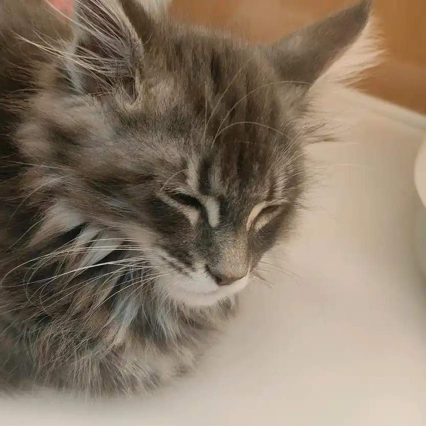 u客直谈实名认证覃先生