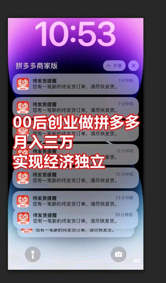 墨先生找合伙人免费教做拼多多网店,你九我一分成