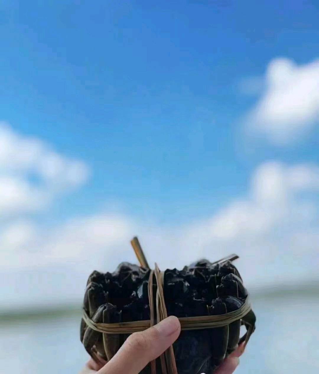 熊女士