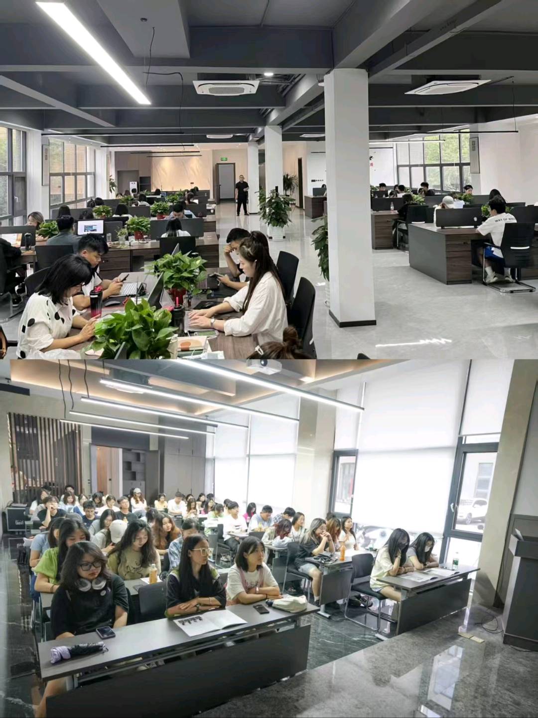 杨辰拼多多电商合伙人，0收费，0基础可带，开店利润分成你9我1