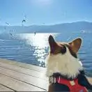 u客直谈实名认证王先生