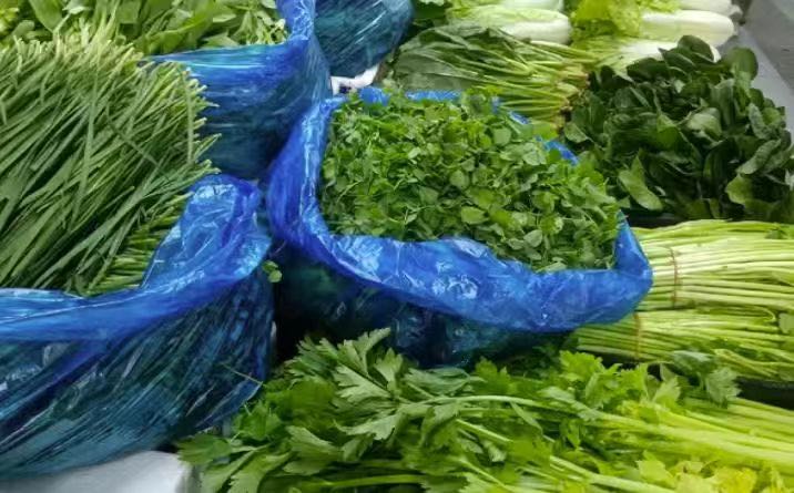 朱先生场地活动