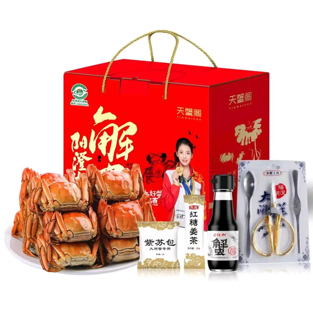 丁先生品牌货源