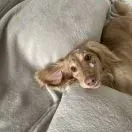 u客直谈实名认证杨淼