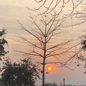 u客直谈实名认证关先生