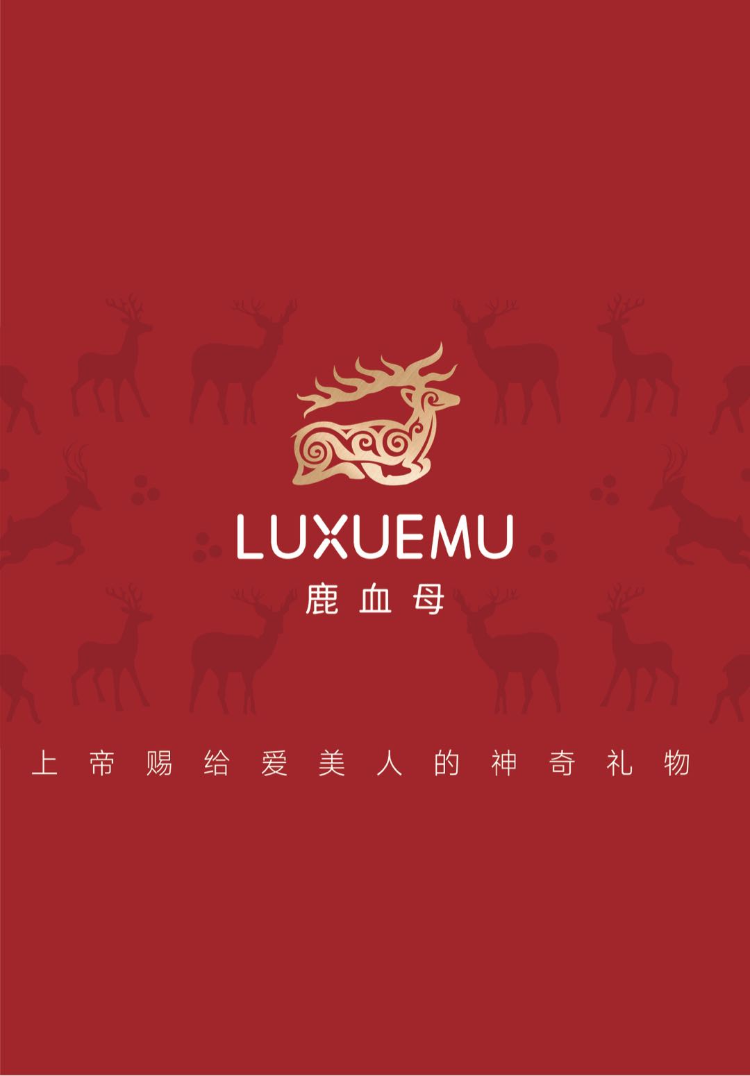 熊先生品牌货源源头厂家一手货源