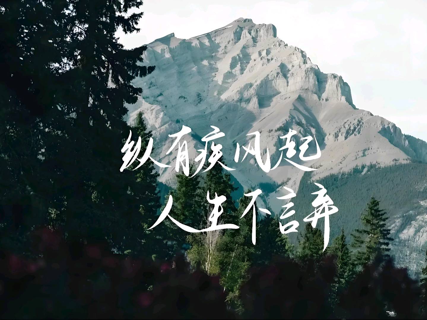 杨先生找合伙人游戏搬砖官服，收益当天到账，长期可做