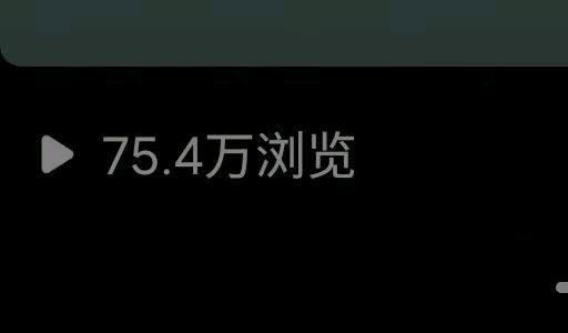 苏桃桃找合伙人小说推文项目，绿色稳定，独立后台，日结。时间自由，操作简单，可矩阵放大