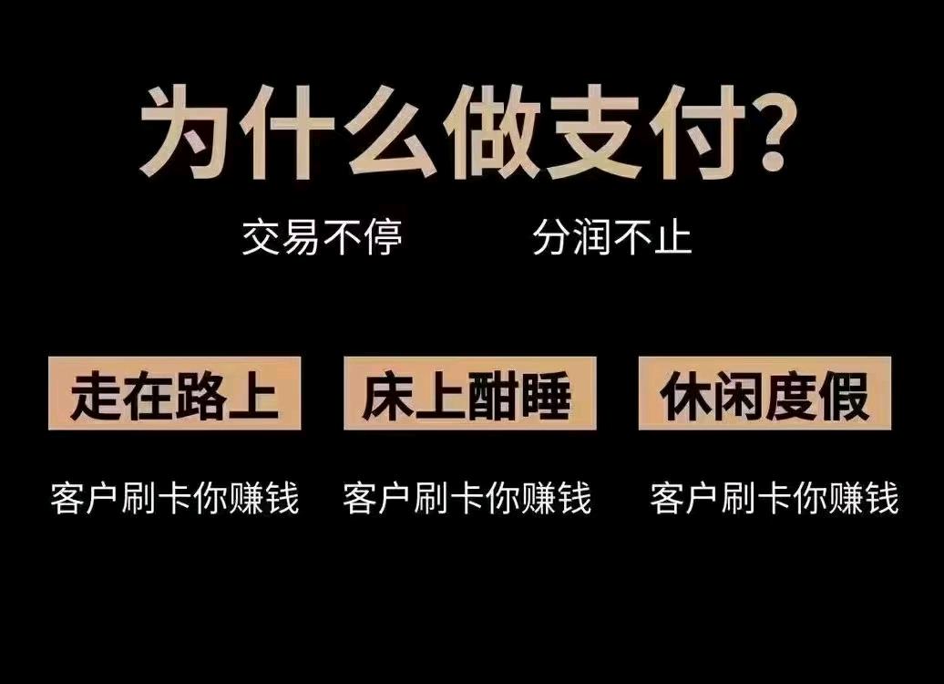 杨先生找合伙人自己+支付2.0