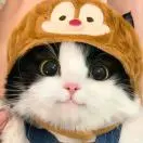 u客直谈实名认证袁璐