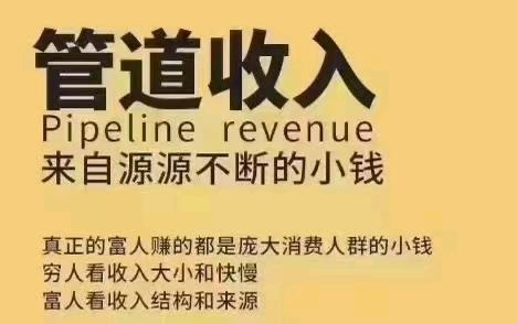 李丽花地推项目