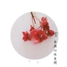 刘先生