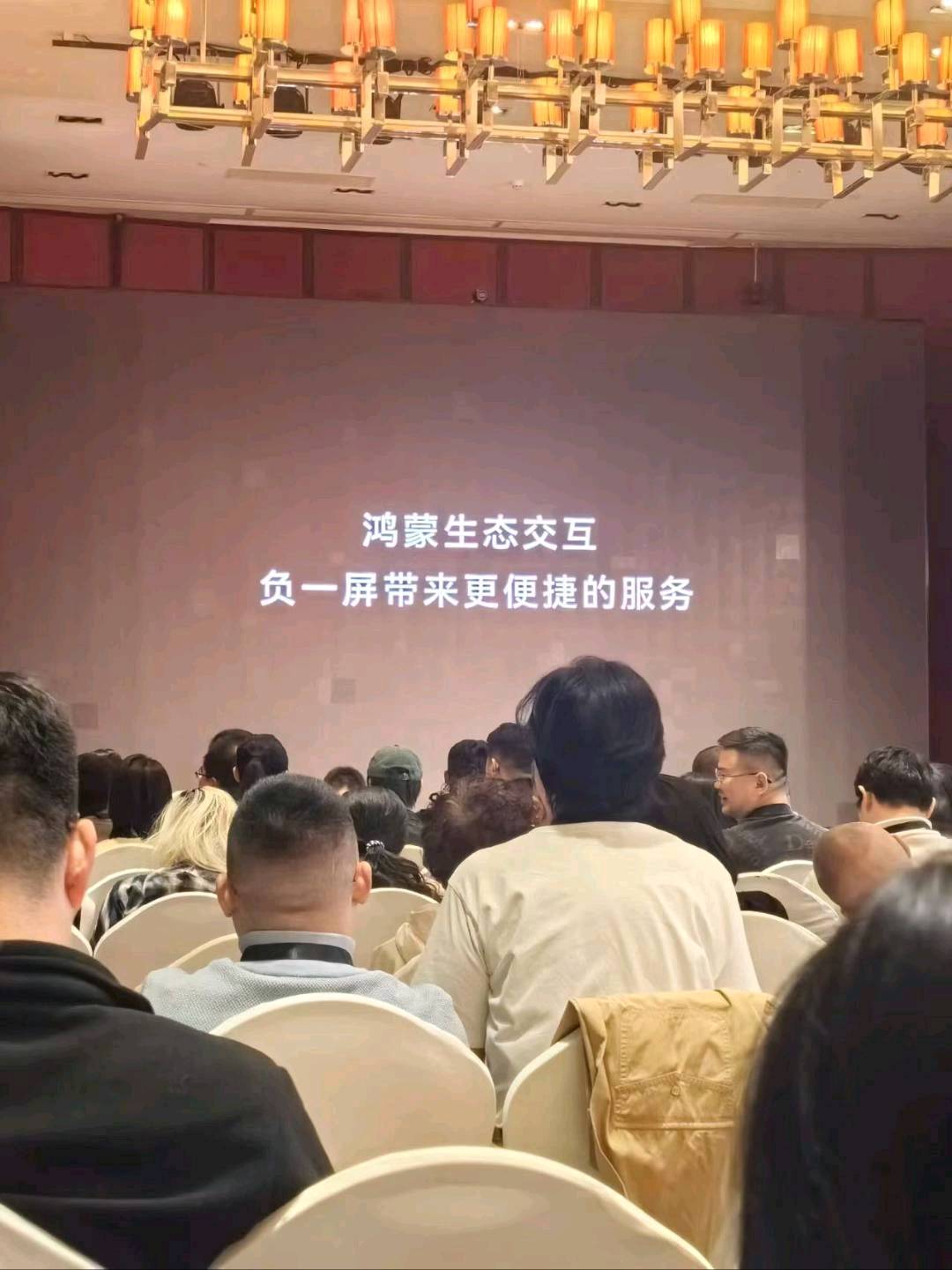 黄女士华为元服务地推合作，单笔200-500元，全程培训