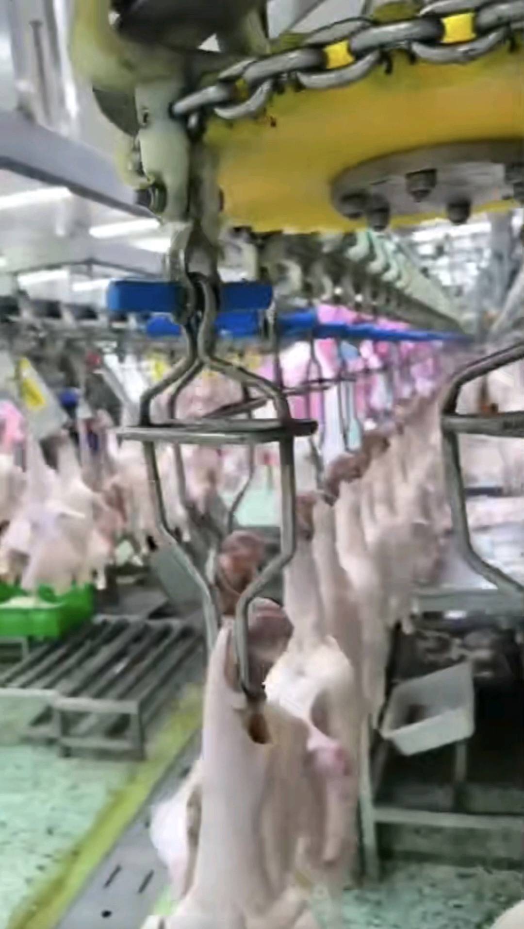 罗德立鸭货成品/半成品供应链，源头工厂资质齐全